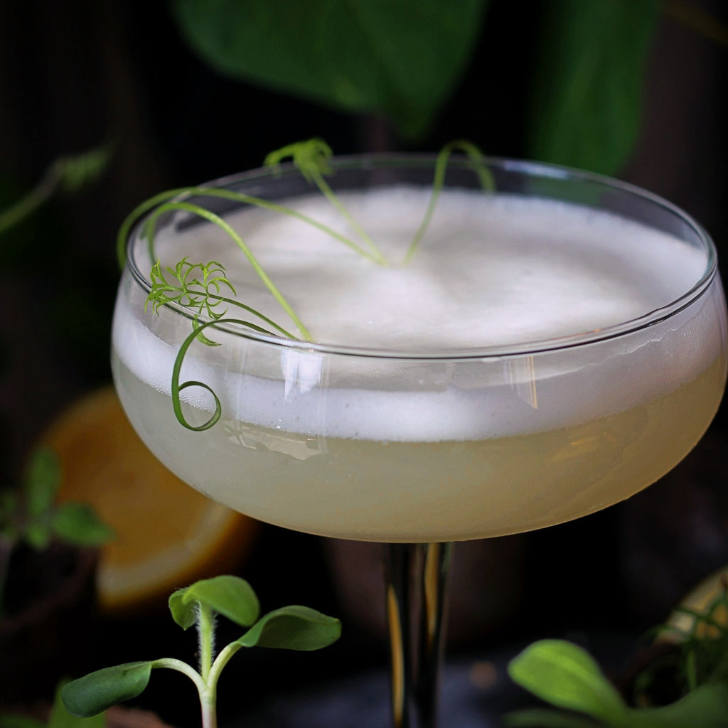 The Stubborn Optimist Cocktails with Silver Swallow Luxury Kombucha