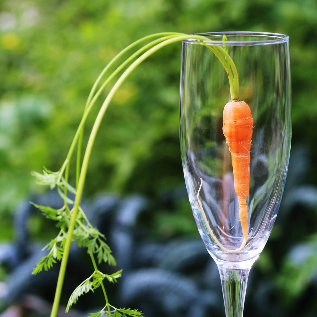 A carrot in a flute glass with the tops flowing out of it