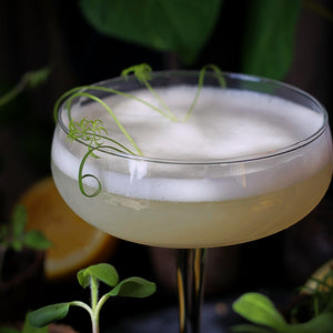 The Stubborn Optimist Cocktails with Silver Swallow Luxury Kombucha